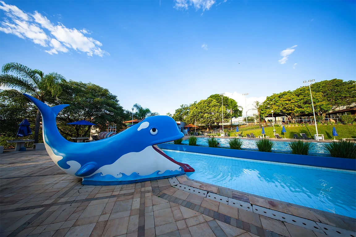 piscina6