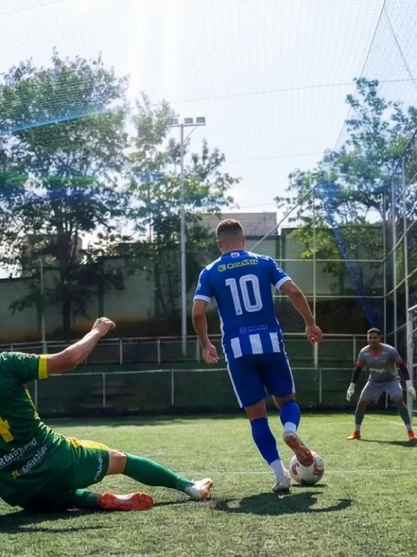 campo3