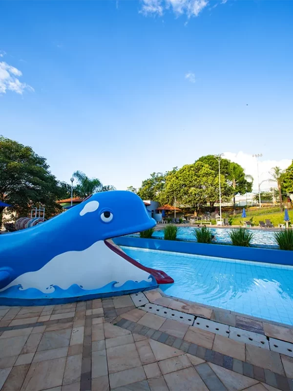 piscina6